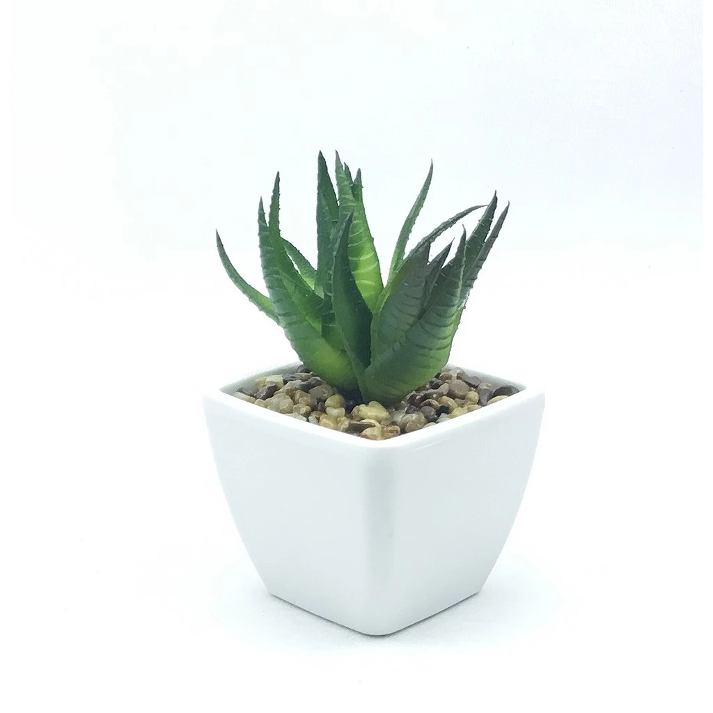 กวักมรกต