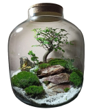 สวนถาดสวนขวด